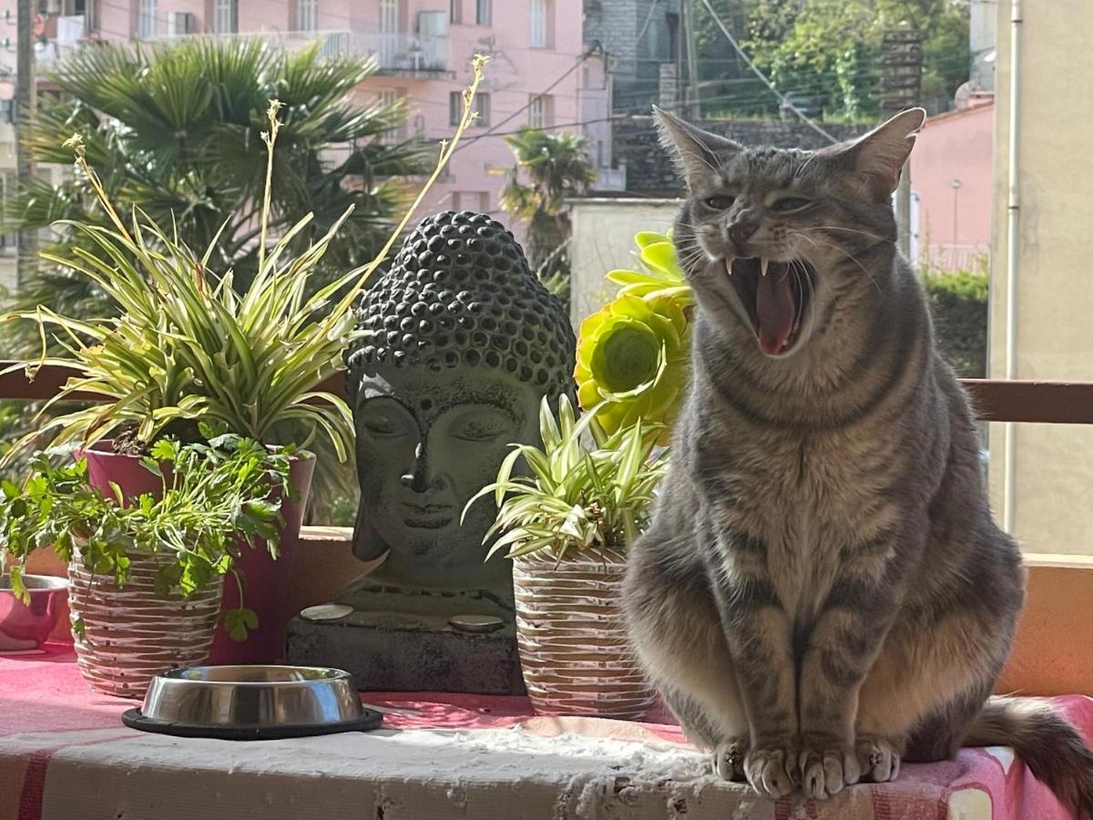 Pozzo Di Borgo Daire Ajaccio  Dış mekan fotoğraf