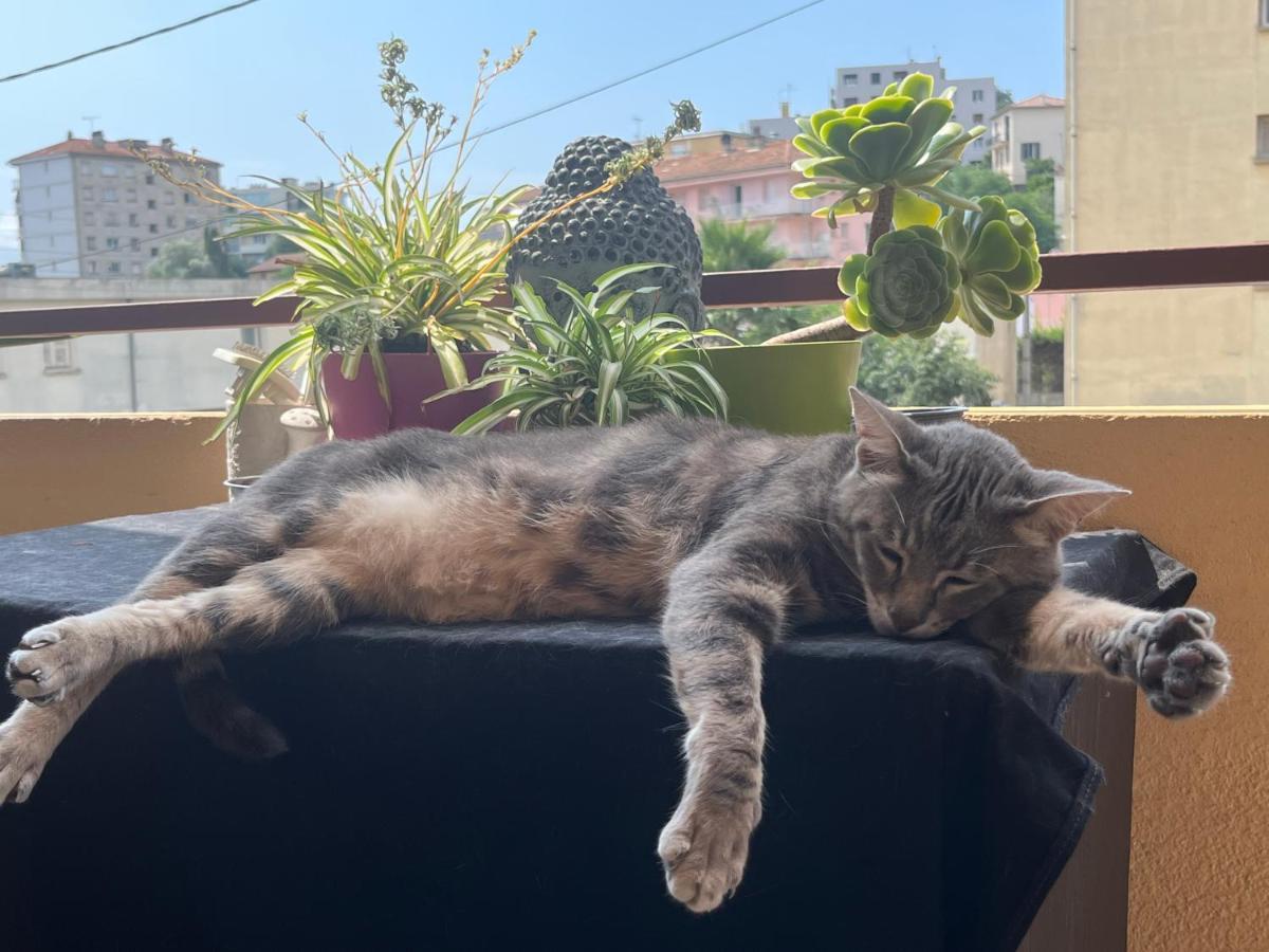 Pozzo Di Borgo Daire Ajaccio  Dış mekan fotoğraf